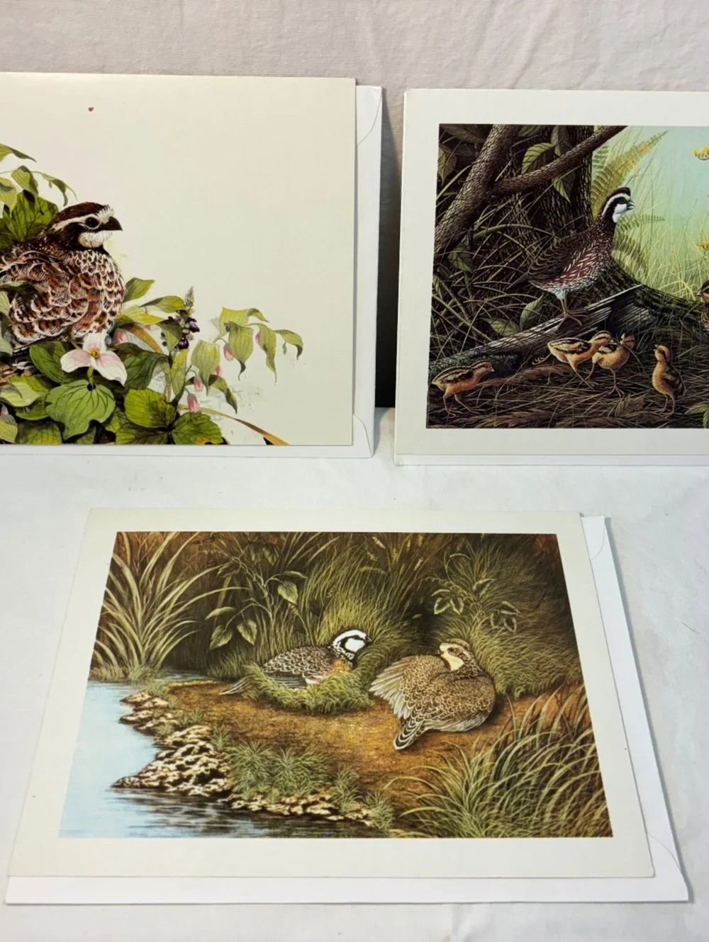 Vintage Quail Unlimited greeting cards